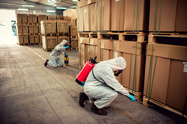Best Residential Pest Control  in Meadow Glade, WA