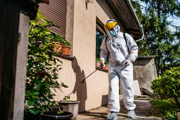 Best Bed Bug Extermination  in Meadow Glade, WA