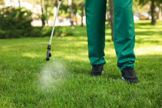 Best Rat Extermination Near Me  in Meadow Glade, WA
