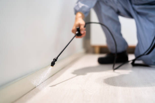 Best Commercial Pest Control Services  in Meadow Glade, WA