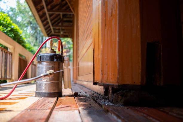 Best Pest Removal Services  in Meadow Glade, WA