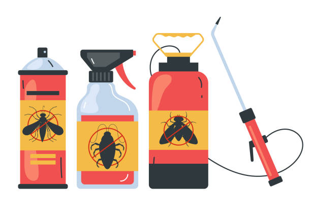 Best Spider Control Near Me  in Meadow Glade, WA
