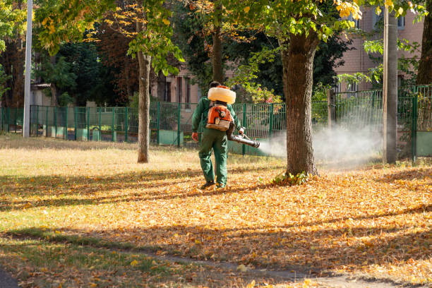 Best Affordable Pest Control Services  in Meadow Glade, WA